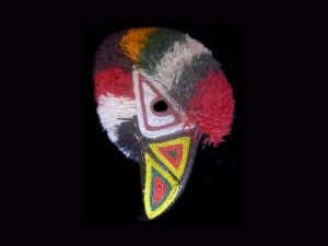 fantastical tropical bird Embera tribe Panama