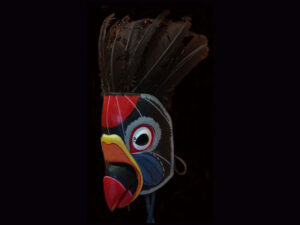 king vulture used mask with vulture feather headdress boruca costa rica