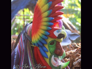 spirit between wings macaw themed used ceremonial mask rey curre village costa rica