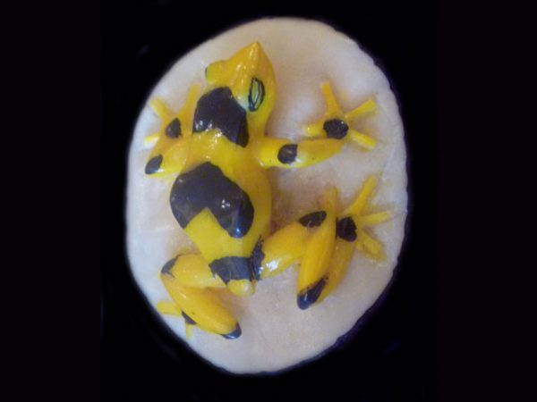 life-like carved tagua poison dart frog pendant