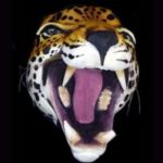 Mighty Jaguar Animal